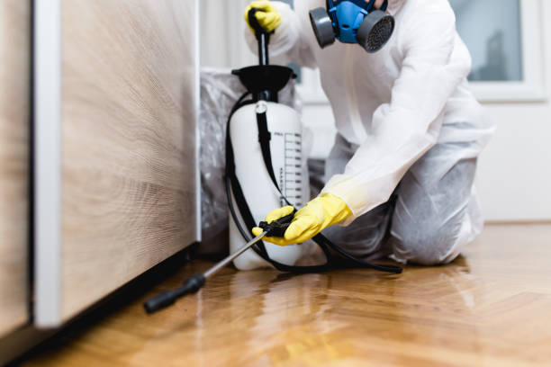 Best Best Pest Control Companies  in Muenster, TX