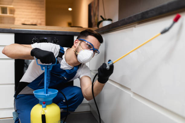 Best Wasp Removal Services  in Muenster, TX