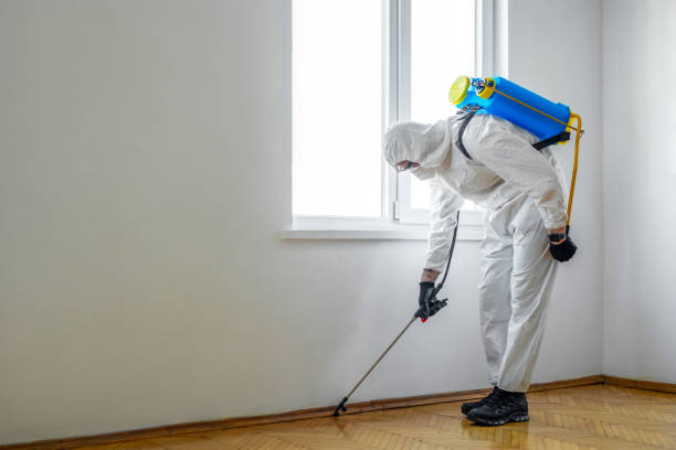 Best Pest Inspection Near Me  in Muenster, TX