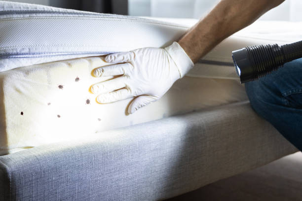Best Pest Prevention Services  in Muenster, TX