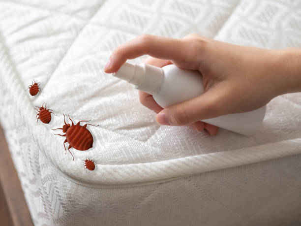 Best Best Pest Control Companies  in Muenster, TX