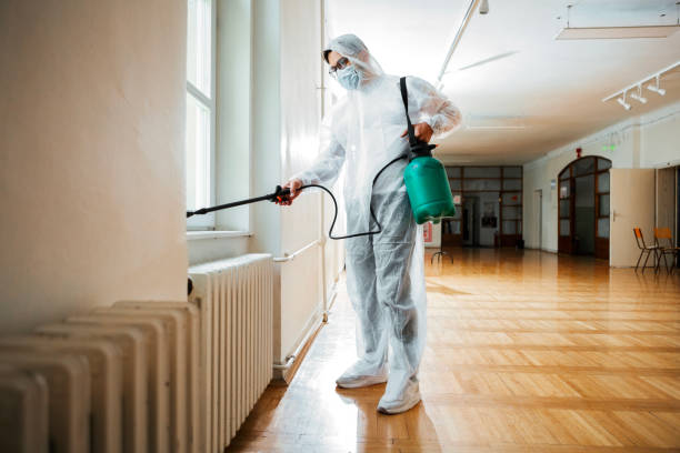 Best Mosquito Control Services  in Muenster, TX
