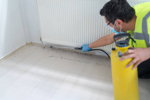 Trusted Muenster, TX Pest Control Experts
