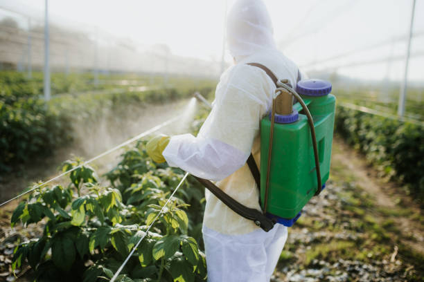 Best Residential Pest Control  in Muenster, TX